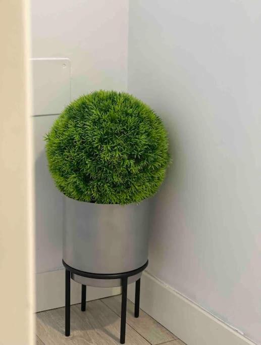 Encantador Apartamento Plaza Mayor Madrid Centro Екстер'єр фото